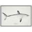 Art minimaliste de requin scientifique, images de salle de bain, impression sur toile encadrée, impression numérique.-1418033875-1418033883