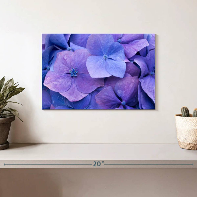 Hortensias mauves Harnek, H 8 po x l 12 po