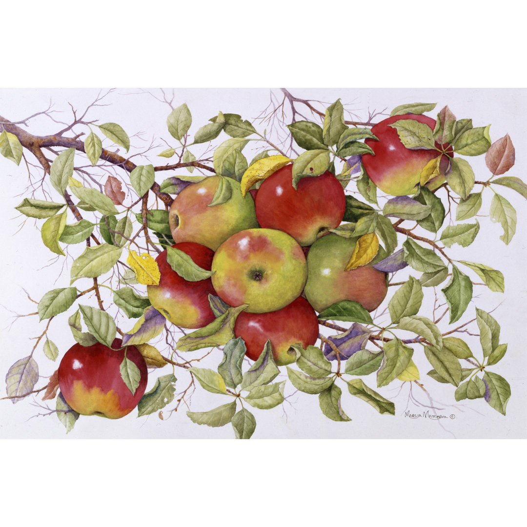 Leinwandbild Apples von Marcia Matcham