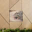 Wall Art on Canvas-1028046875