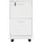 Ebern Designs File Cabinet - 2-Drawer Cabinet with Lock and Deep Drawer Storage - Rolling Filing Organizer for Under The Desk, Home, or Office-416611534