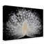 White Peacock Portrait by Pino Liddi - Print on Canvas-1638322165