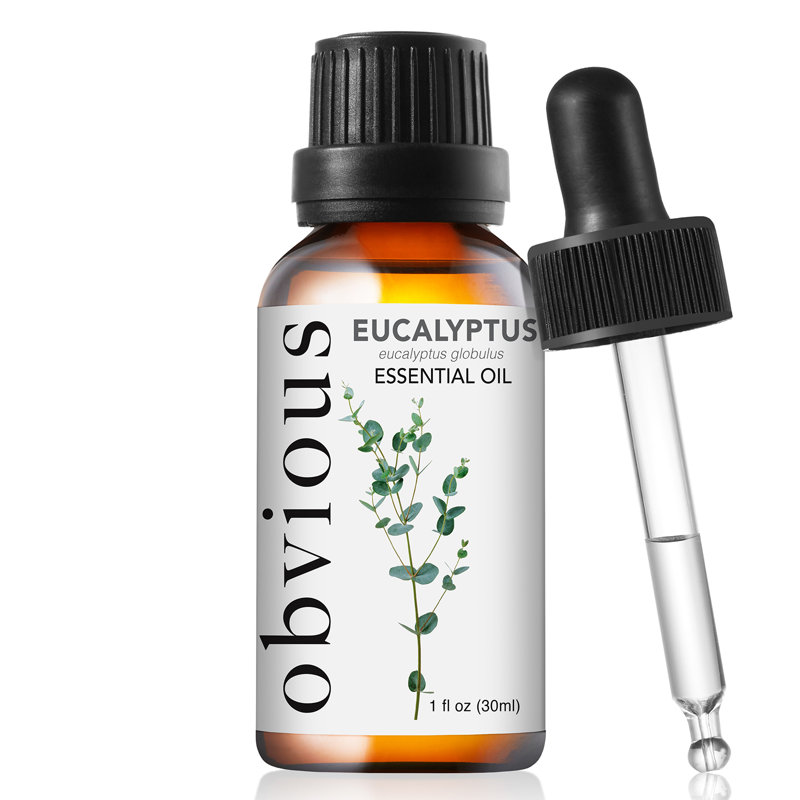 Aromatherapy Oils & Scents
