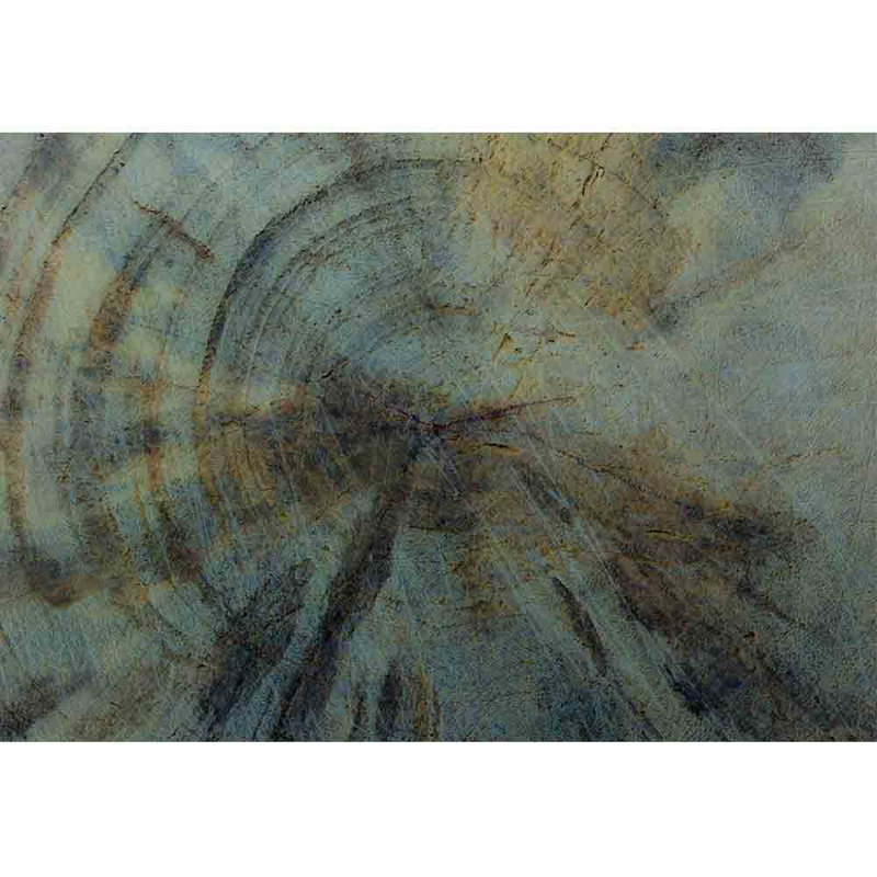 Grand papier peint auto-adhésif Rings Year of Wood, L 100 po x l 144 po