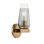 Rex 1 Light Wall Sconce