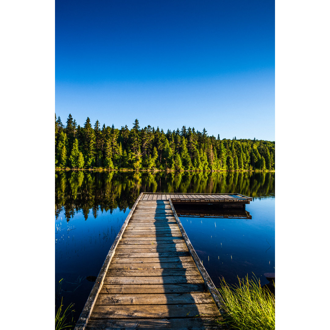 La mauricie national park - Leinwandbild