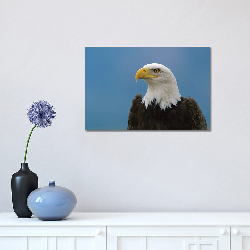 Bald Eagle Profile, North America 1 Piece Wrapped Canvas Wall Art, 30.48cm H x 45.72cm W x 1.91cm D
