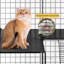 Indoor/Outdoor 4-layer Metal Cat Cage With Hammock