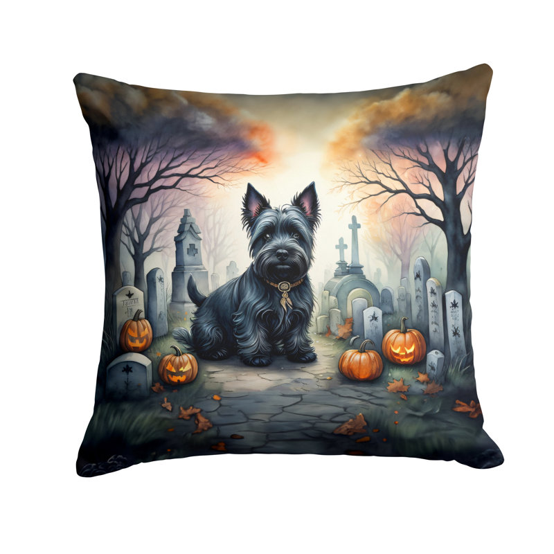 Other/No Pattern Outdoor Throw Pillow, 18" x 18"