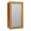 18'' W Mirrored Medicine Cabinet