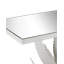 Agave 60.25 in. Glass Console Table
