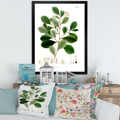 Vintage Botanicals IV - peinture sur toile