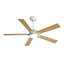 Ventilateur de plafond d'intérieur à 5 pales Portico avec ensemble d'éclairage et télécommande-1521075010-1521075009-1494877472