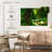 Alvord Enchanting Deep Rainforest-108913612