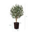 Adcock Artificial Olive Tree with Decorative Pot, UV Resistant Faux Olive Tree with Natural Trunk-700034063-700034058