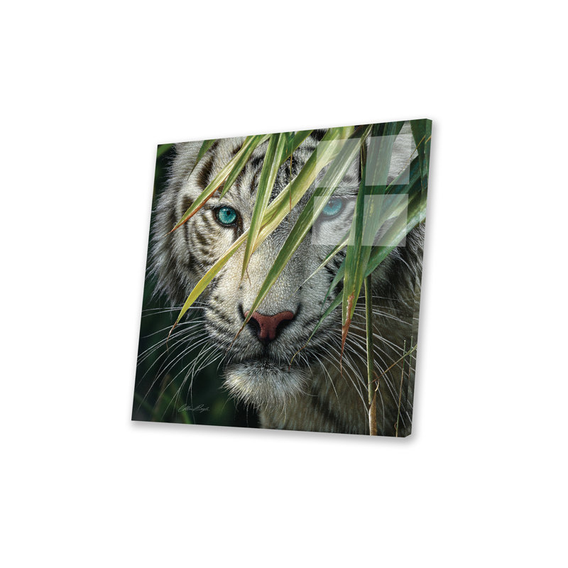 Tigre blanc, impression de forêt de bambou sur verre acrylique