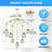 Pleuvoir 7 - Light Dimmable Classic / Traditional Chandelier-580901014
