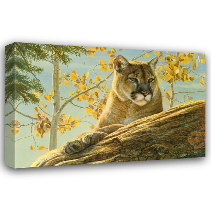 Cougar Front Range, H 16 po x l 24 po