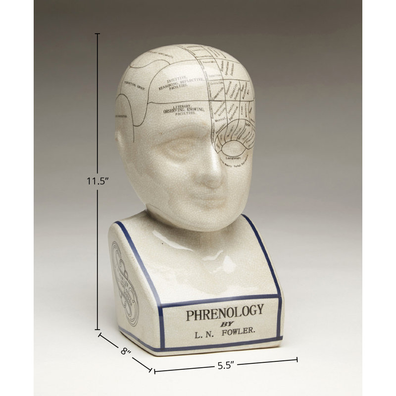 Crackle Phrenology Bust, 11.5" H x 5.5" W x 8" D