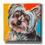 Sweet Yorkie II - reproduction d'art sur toile tendue-1944855676