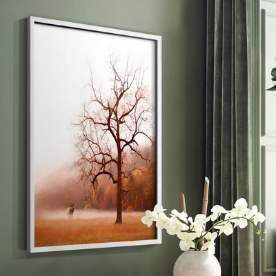 Photographie, photographie, élan dans la brume, reproduction encadrée - bois massif