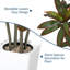 Arrangement-711665410