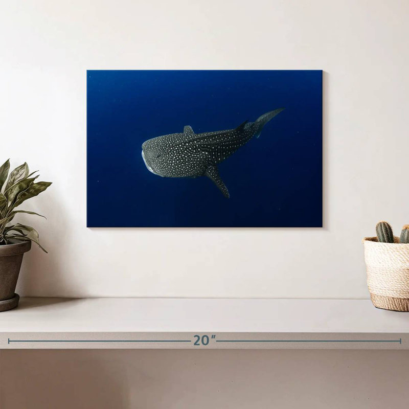 Brampt Whale Shark In Deep Blue Water, 8" H x 12" W