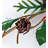 Christmas Decorative Accent-75113086