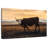 Brampt Looking Bull-108816349