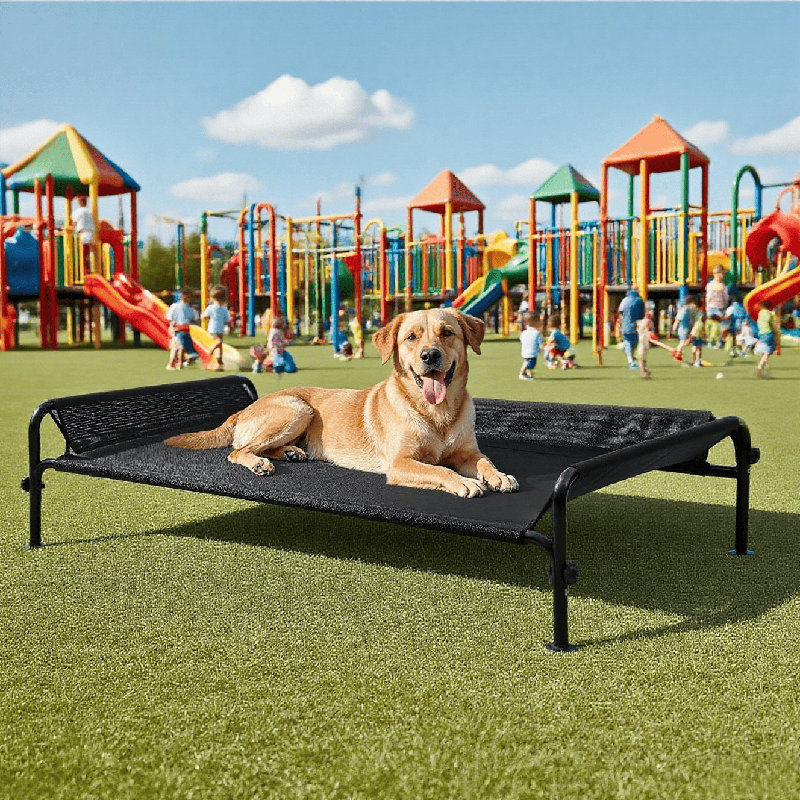 Lit surélevé d'extérieur imperméable pour chien, H 16,9 po x l 12,7 po x P 5,7 po
