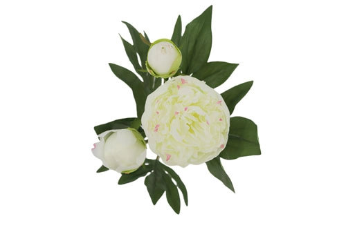 Artificial Cream Peony Stems