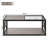 Double Layer Coffee Table