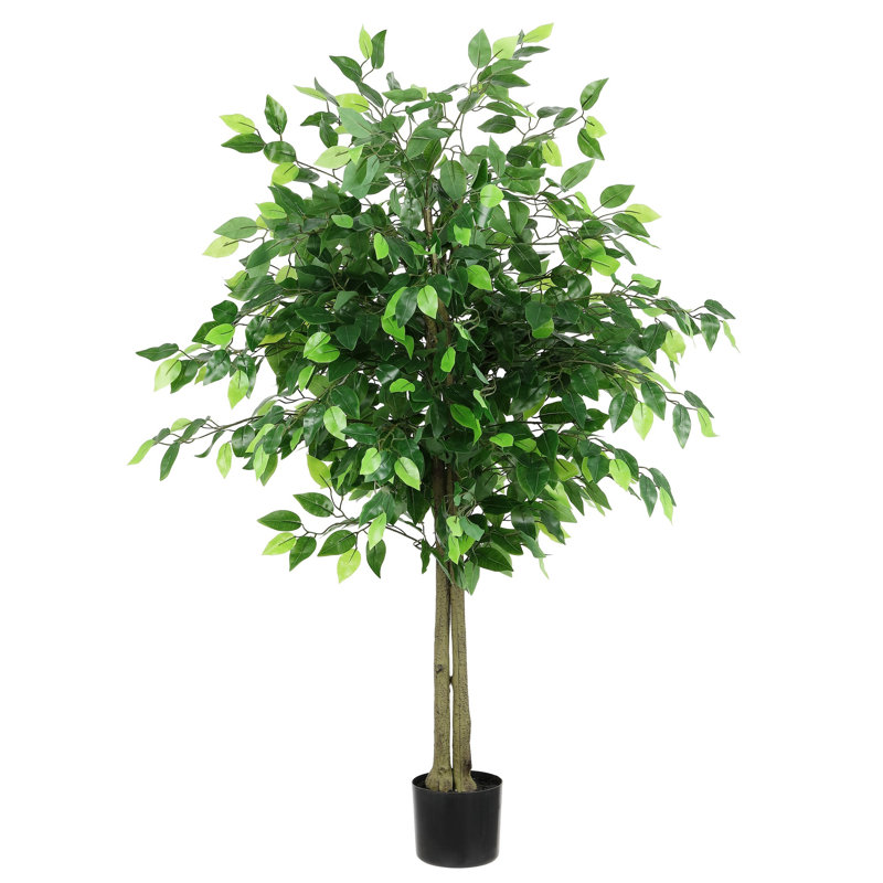 55'' Faux Bushficus Tree in Cement Pot