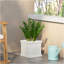 Placeur-526243089