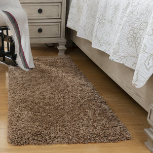 Cozy Shag Performance Indoor Rug