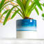 Nicola Spring - Reactive Glaze Plant Pots-63880892-63880896