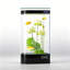 Réservoir d'aquarium 105-105 gallons-129168579-129168578