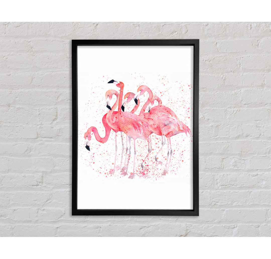 Pink Flamingo Splash - Einzelner Bilderrahmen Kunstdrucke auf Leinwand