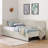 Platform Bed Frame Twin Size Upholstered With 2 Storage Drawers, Adjustable Velvet Sofa Bed