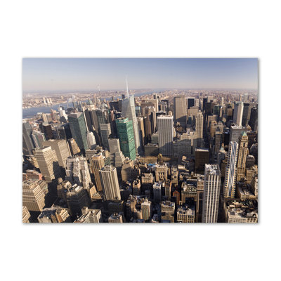 New York Bird Flight - Wrapped Canvas Print