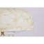 Lasonda Glass Marble Finish Table Lamp
