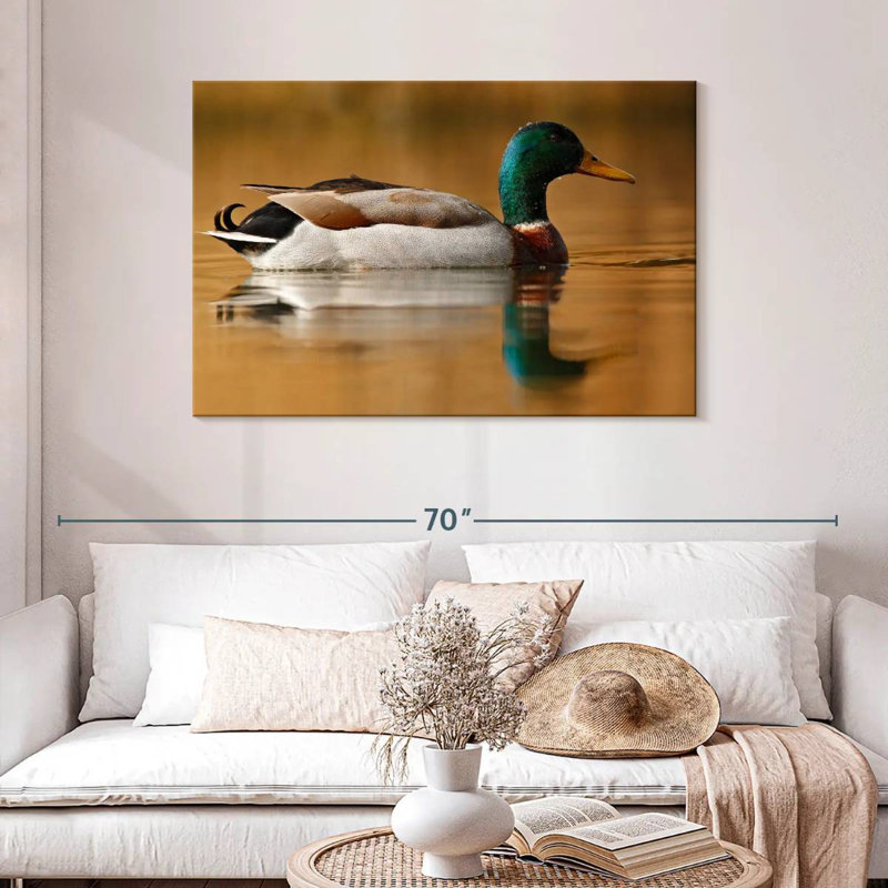 Canard colvert Brampt, H 30 po x l 45 po