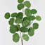 Branche d'eucalyptus artificiel vert Audet (1 tige)