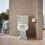 Memoirs Stately Continuousclean St Two-Piece Elongated Toilet with Concealed Trapway, 1.28 Gpf-79449825
