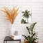 Impression sur toile de palmier tropical-802923846