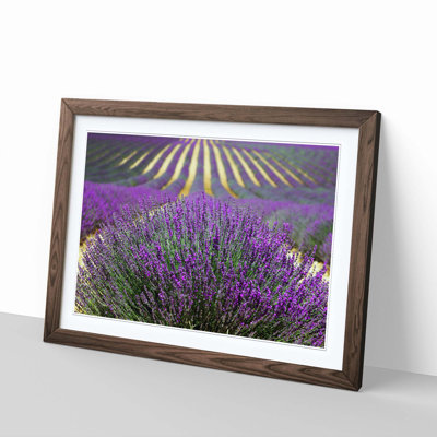 Single Picture Frame Print