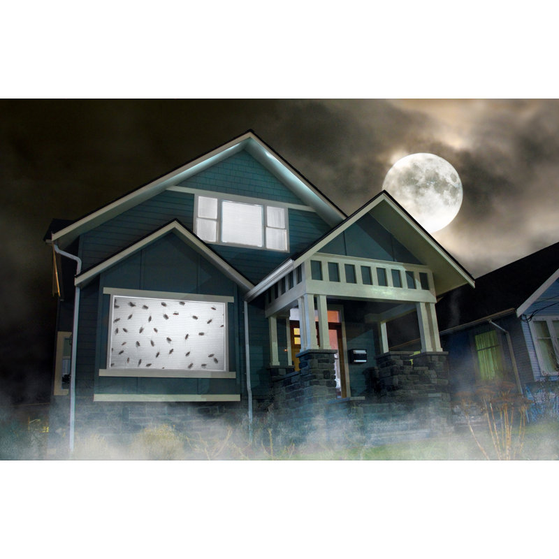 Décoration numérique d’Halloween à 2 DVD d’atmosfx