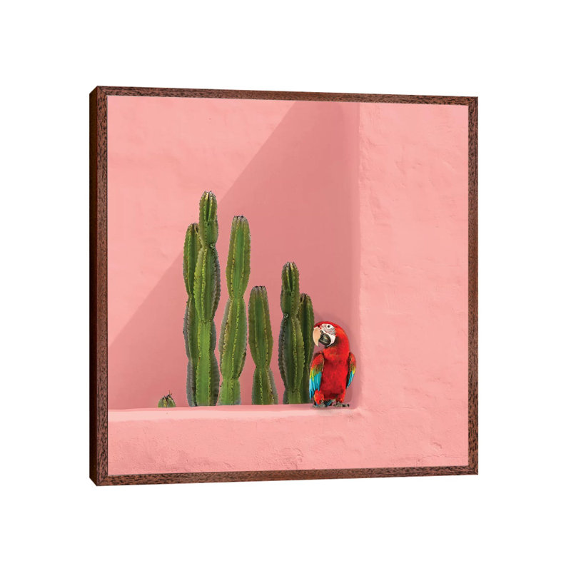 Macaw On Coral by Erin Summer - Print on Canvas, Classic Brown Wood Framed, 66.04cm H x 66.04cm W x 3.81cm D
