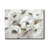 " Winter White "-1948755682