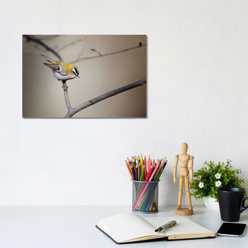 Firecrest 1 Piece Wrapped Canvas Wall Art, 20.32cm H x 30.48cm W x 1.905cm D
